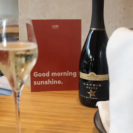 Hotel Laguna - Terme Krka