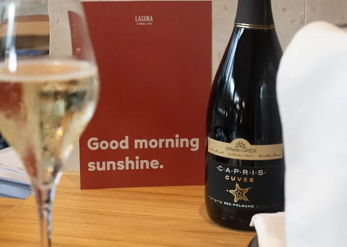 Hotel Laguna - Terme Krka