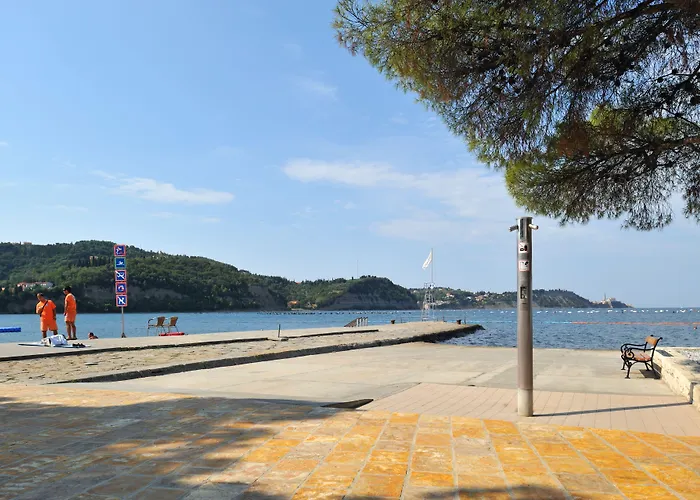 Laguna - Terme Krka 3*